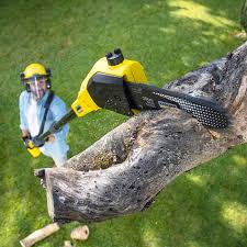 Best Pest Control for Lawns  in Mckinney, TX
